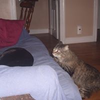 Janet Chance Photo 23