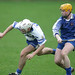 Joseph Flannery Photo 16