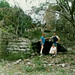 Brian Paradise Photo 15