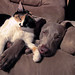 Alice Gray Photo 24
