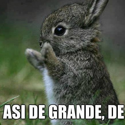 Christian Roman Photo 26