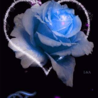 Tracey Mcdonald Photo 10