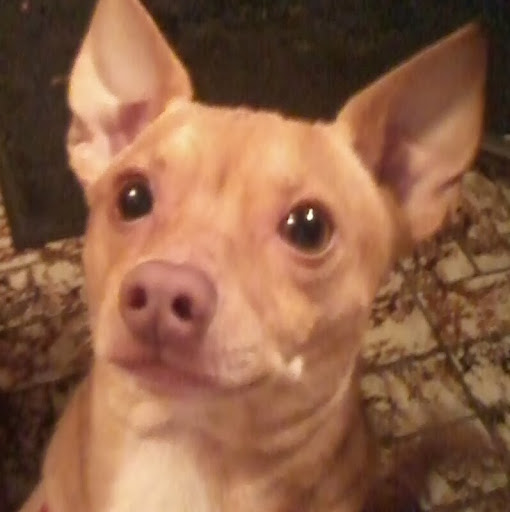 Roger Bell Photo 19 Roger Bell Photo 19