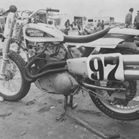 Darlene Beck Photo 32