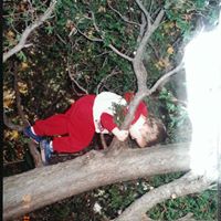 Michael Dwyer Photo 32