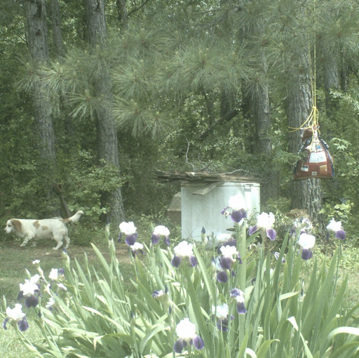 Laura Frank Photo 41