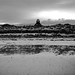 Paul Grabowski Photo 15