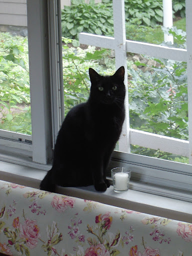 Jackie Fitzpatrick Photo 18