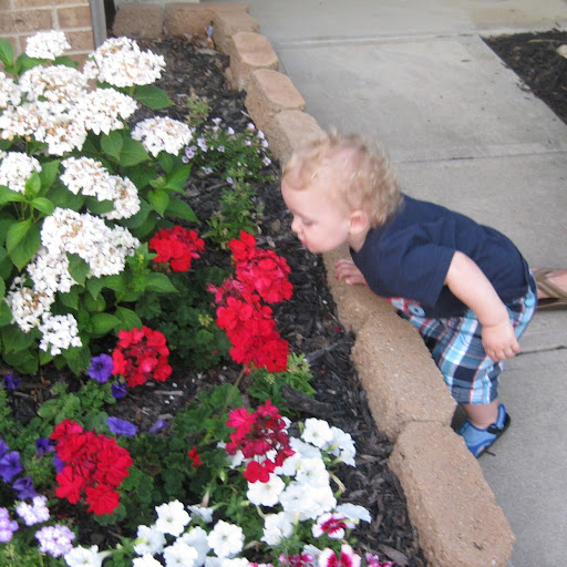 Lisa Barnett Photo 25 Lisa Barnett Photo 25