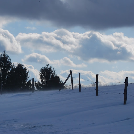 Cindy Pratt Photo 13