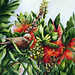Julie Mcintyre Photo 33