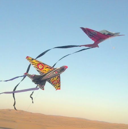 Susan Terrell Photo 13