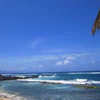 Mary Steiner Photo 3 Mary Steiner Photo 3