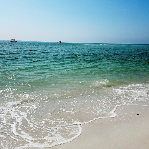 Amanda Snyder Photo 5