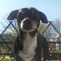 Deborah Schulte Photo 6