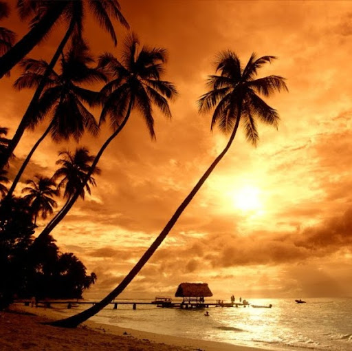 Shelly Rogers Photo 23