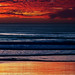 Sandy Straub Photo 14