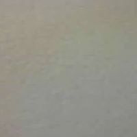 Mariel Ruiz Photo 12