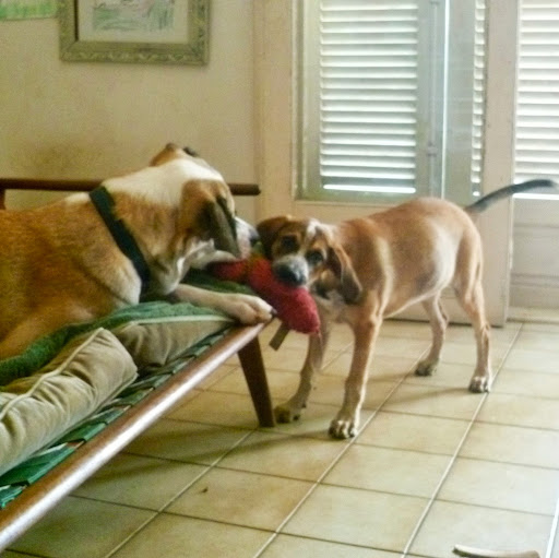 Jodi Phillips Photo 19