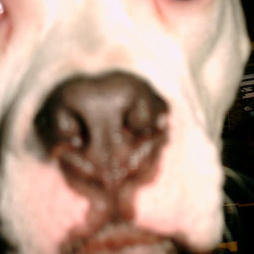 Jerry Lucas Photo 46