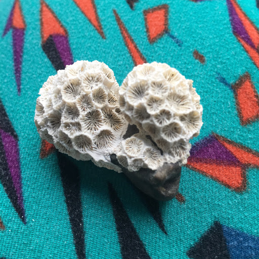 Joanna Baker Photo 18