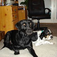 Doug Cartwright Photo 14