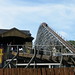 Robin Roller Photo 29