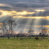 Julia Derrick Photo 6