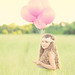 Jane Greenfield Photo 21