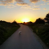 Jean Houston Photo 19 Jean Houston Photo 19