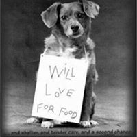 Sandra Tadlock Photo 5