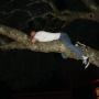 Michael Mckeon Photo 39
