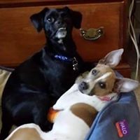 Janice Hockersmith Photo 7