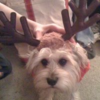 Lily Roberts Photo 17