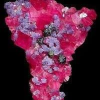 Robert Griffis Photo 32