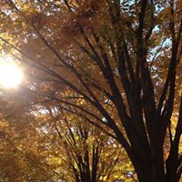 Angela Harper Photo 21