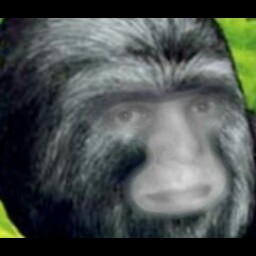 Paul Houston Photo 19