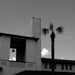 Kirby Smith Photo 27