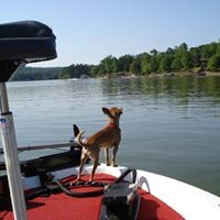 Bobby Estes Photo 15