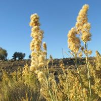 Mark Gagnon Photo 24