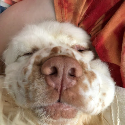 William Heard Photo 27