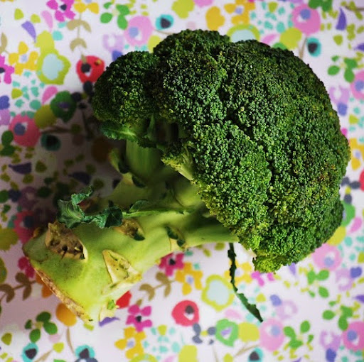 Stefani Smith Photo 17