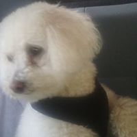 Helen Powers Photo 12