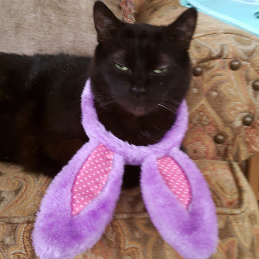 Elizabeth Holliday Photo 18