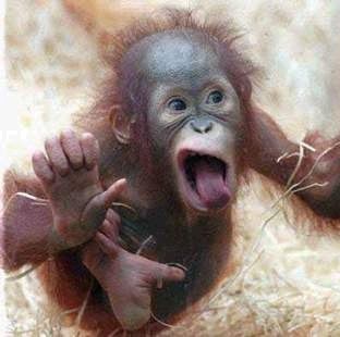 Sarah Clevenger Photo 18