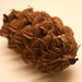 Douglas Yip Photo 22