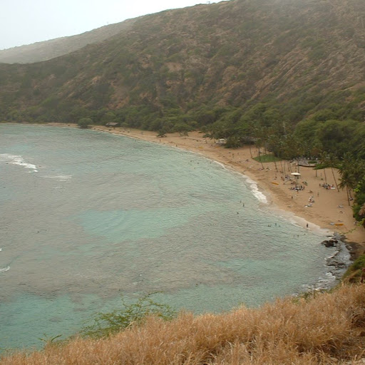 Stephen Potts Photo 45 Stephen Potts Photo 45