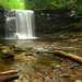 Glen Harrison Photo 14