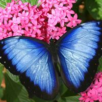 Kathy Douglas Photo 4