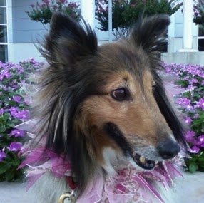 Caryn Cluiss Photo 3